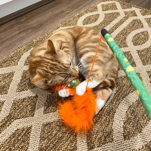 Feather Boa Cat Wand Toy with Catnip