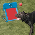 Dog Agility Flyball with Tennis Ball