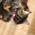 Damson Cat Collar