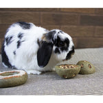 Rosewood - Treat 'n' Gnaw Bunny Buns (2pc)