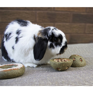 Treat 'n' Gnaw Bunny Buns (2pc) | Small Animal Toy and Treat