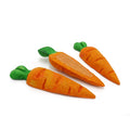 Treat 'N' Gnaw Carrots (3pc) | Small Animal Toy and Treat