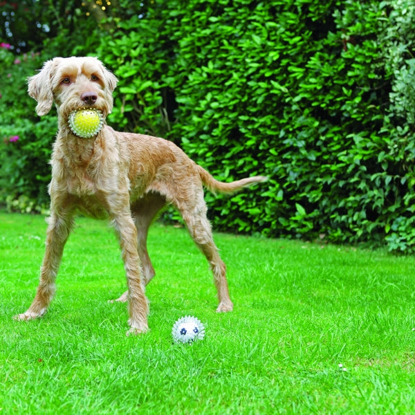 Rosewood - Catch & Play Tennis Ball\