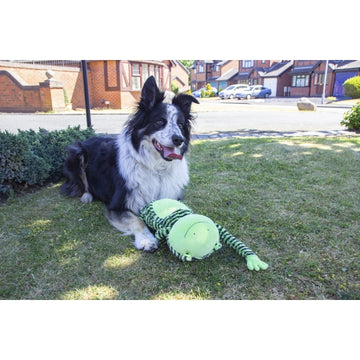 Froggy Long Legs Dog Toy