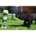 Rosewood | Froggy Long Legs Dog Toy