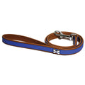 Wag 'n' Walk Royal Lead, Blue