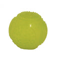 Glow in the Dark Ball Dog Toy