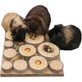 Maze-A-Log Small Animal Treat Challenge