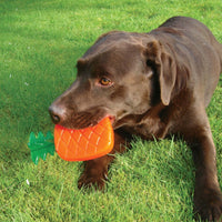 For Pets - Rosewood - Pineapple BioSafe Toy