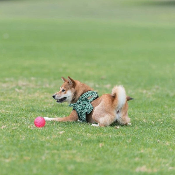 BioSafe Puppy Treat Ball Pink