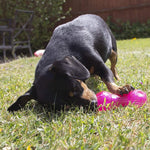 Rosewood - BioSafe Puppy Treat Dumbbell Pink