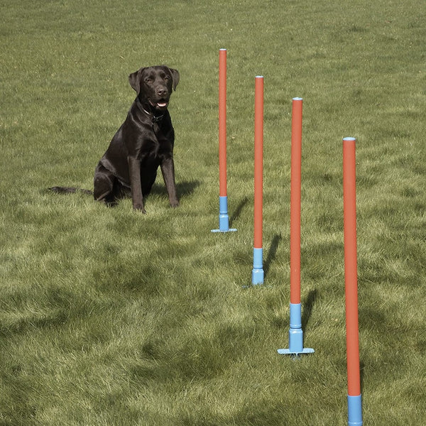 For Pets - Rosewood - Agility Slalom with 5 Weaving Poles