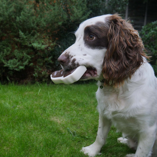 Meaty Beef Takeaway Bone Large