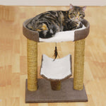 For Pets Rosewood - Catwalk Collection Saffron