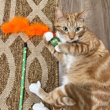 Feather Boa Cat Wand Toy with Catnip