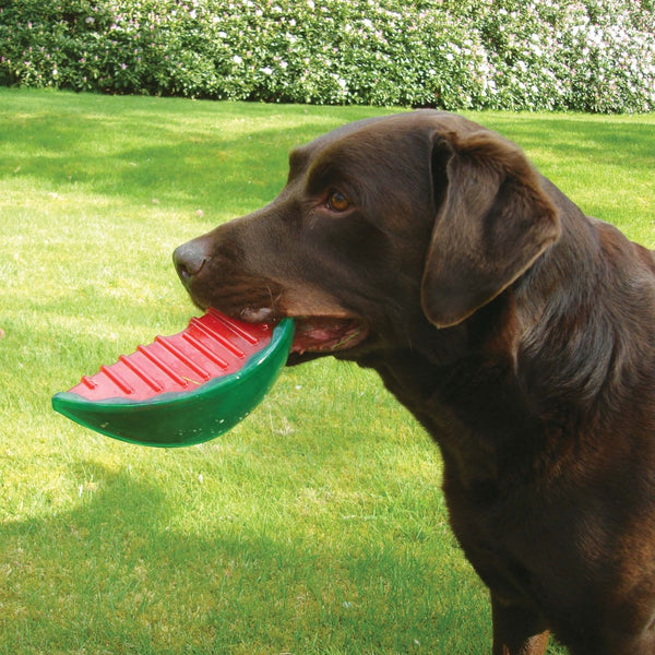 For Pets - Rosewood - Watermelon BioSafe Toy