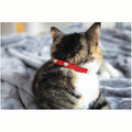 Winter Fashion Cat Collar