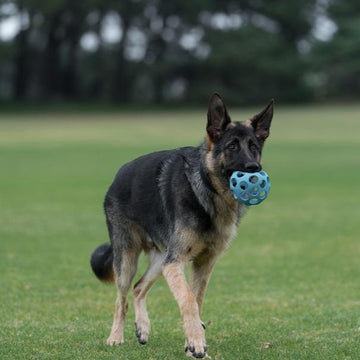 Cyber Rubber Lattice Football Dog Toy