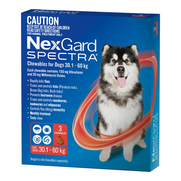 Nexgard Spectra XLarge Dog 30.1-60kg 3pack