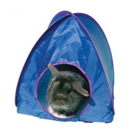 Rosewood - Large Pop-Up Tent