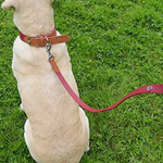 Rosewood - Luxury Leather Soft Touch Dog Lead, Red 40'X3/4'