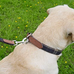 Rosewood - Luxury Leather Tweed Check Dog CollarLuxury Leather Tweed Check Dog Collar