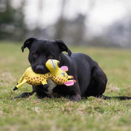 For Pets - Rosewood - Tough Safari Giraffe