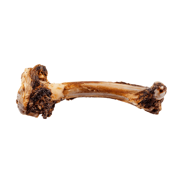 Lamb Bones