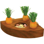 Rosewood - Carrot Toy 'n' Treat Holder Toy for Small Animals