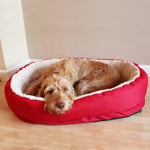 For Pets - Rosewood - Red Orthopaedic Bed