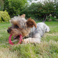 BioSafe Pink Puppy Ring