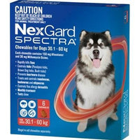 Nexgard Spectra XLarge Dog 30.1-60kg 6pack