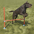 Dog Agility Hurdle