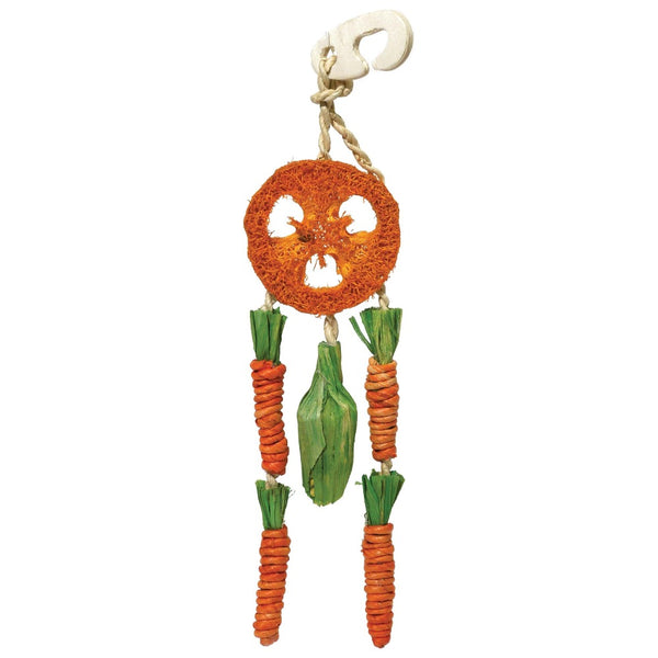 Rosewood - Carrot Dream Catcher Hanging Toy for Small Animals