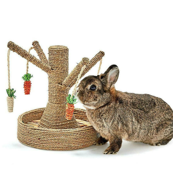 Rosewood pet bunny cheap fun tree