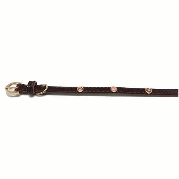 Wag 'N' Walk Oxblood Toy Dog Collar, 8-10-inch