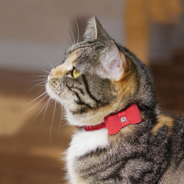 Red Bow Tie Cat Collar