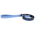 Baby Blue / Navy Leather Lead